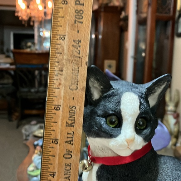 Beautiful black and white kitten sitting - Picture 10 of 11